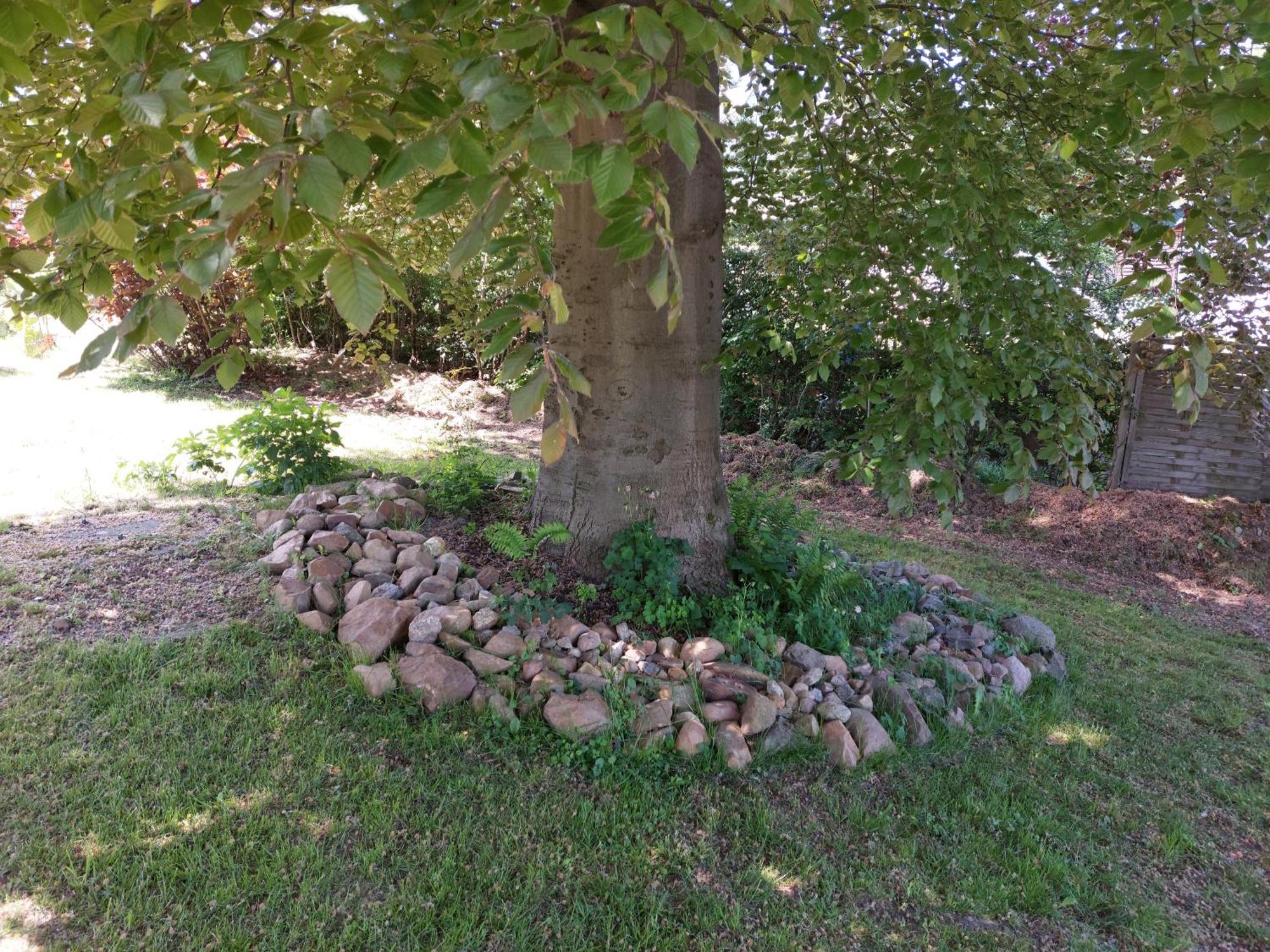 Gasthof Oberschmiede Auf der Wiese Εξωτερικό φωτογραφία