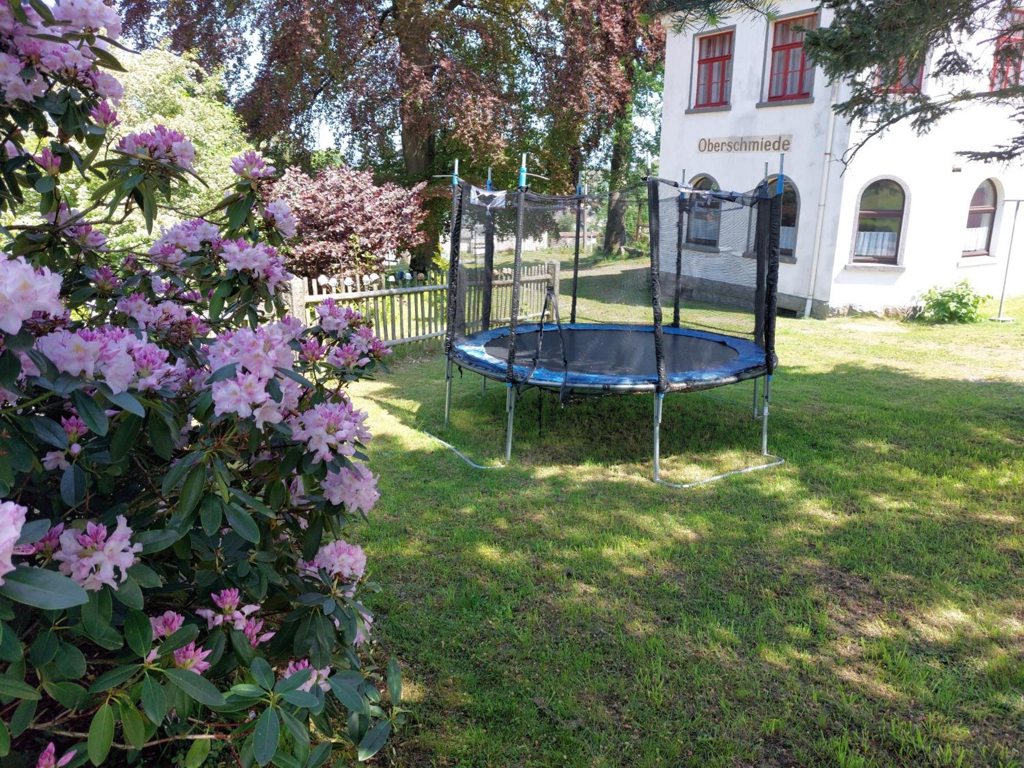 Gasthof Oberschmiede Auf der Wiese Εξωτερικό φωτογραφία